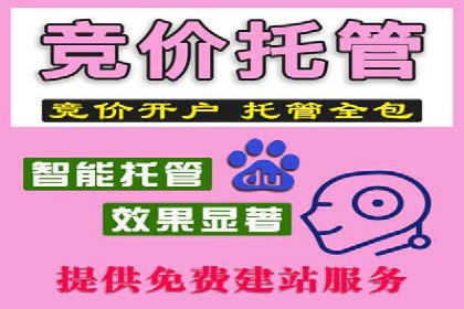 竞价SEM托管案例：低成本高回报的秘诀